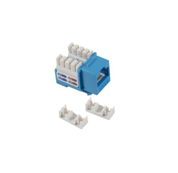 jack cat6 dixon Jack RJ-45 Cat.6 Azul